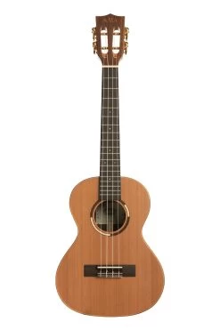 Ukulele Shop -Ukulele Shop KA ASCP T 19 F