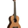 All Solid Cedar Top Pau Ferro Tenor Ukulele 1 All Solid Cedar Top Pau Ferro Tenor Ukulele -Ukulele Shop KA ASCP T 19 R
