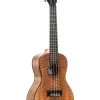 Curly Mango Concert Ukulele -Ukulele Shop KA CM C 22 R