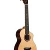 Contour All Solid Gloss Spruce Rosewood Tenor Ukulele W/ Cutaway And Bag -Ukulele Shop KA CT SSRW TG C W BAG 23 R