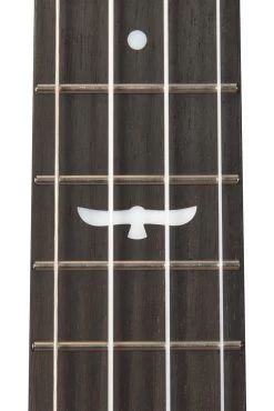 Revelator® Night Owl Acacia Tenor Ukulele -Ukulele Shop KA OWL ACA TE 2