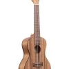 Pacific Walnut Concert Ukulele -Ukulele Shop KA PWC 20 R