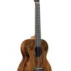 Premier Exotic Bocote Tenor Ukulele 1 Premier Exotic Bocote Tenor Ukulele -Ukulele Shop KA PX BCT T 20 R 17878033 5154 4eee ad46 c910da642ec8