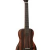 Solid Body Electric Striped Ebony Tenor Ukulele -Ukulele Shop KA SB EBY T W BAG 2