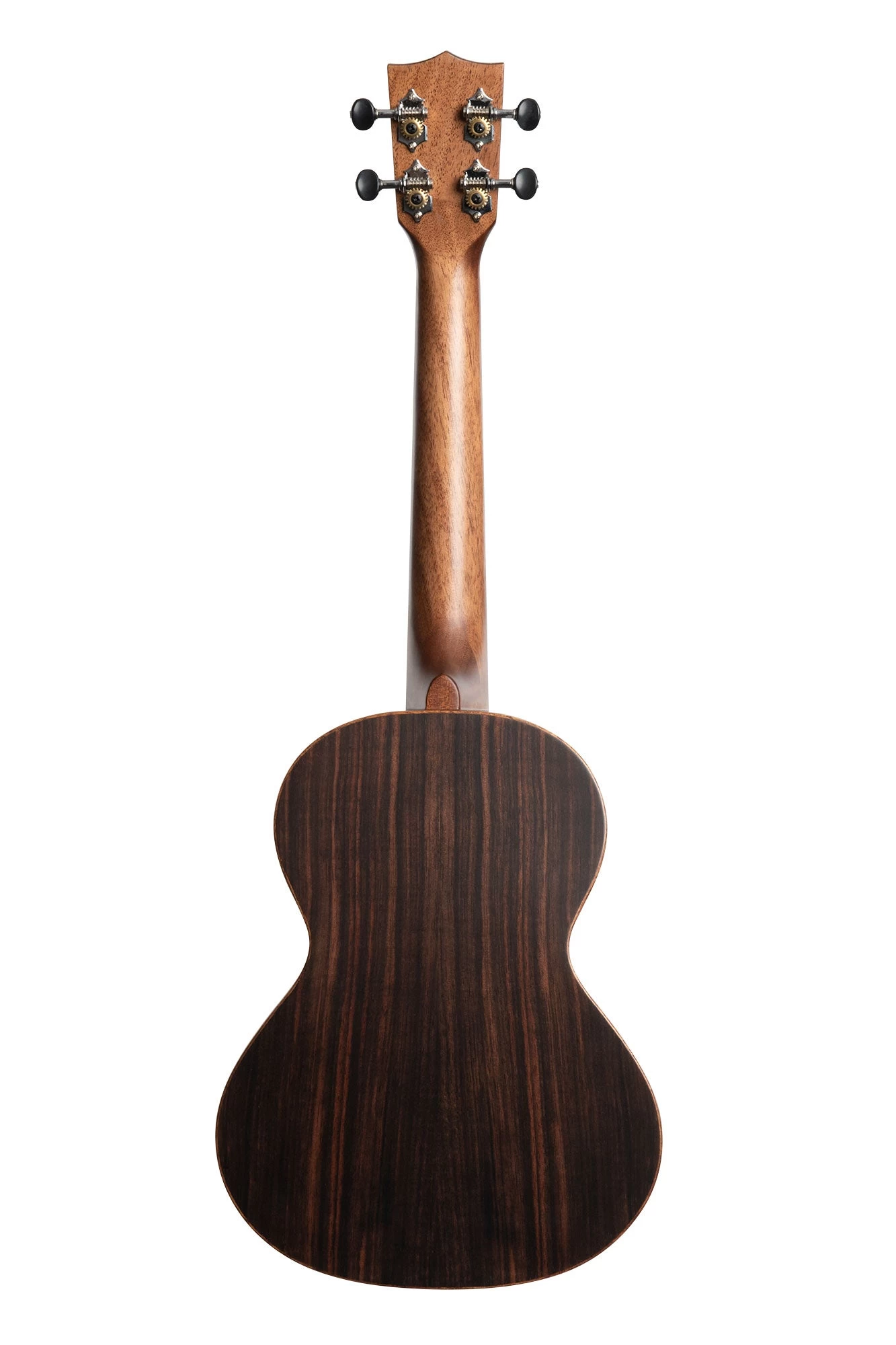 Solid Spruce Top Striped Ebony Tenor Ukulele 5 Solid Spruce Top Striped Ebony Tenor Ukulele - Image 3