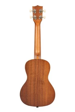 Surf's Up Concert Ukulele -Ukulele Shop KA SURF SURFSUP 20 B