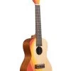 Swell Concert Ukulele -Ukulele Shop KA SURF SWELL 20 R