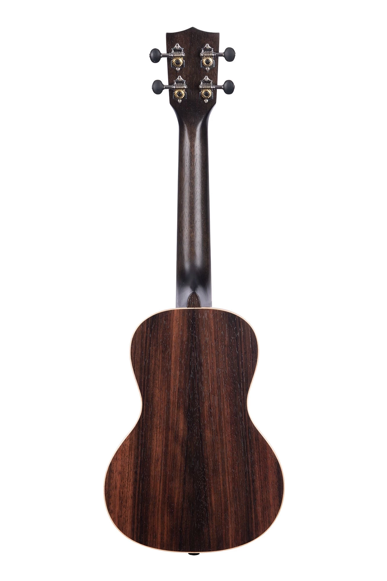 Striped Ebony Concert Ukulele 5 Striped Ebony Concert Ukulele - Image 3