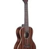 Striped Ebony Concert Ukulele -Ukulele Shop KAEBYC2006 21 R