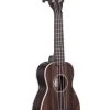 Striped Ebony Soprano Ukulele -Ukulele Shop KAEBYS2006 21 R