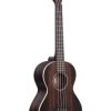 Striped Ebony Tenor Ukulele -Ukulele Shop KAEBYT2006 21 R