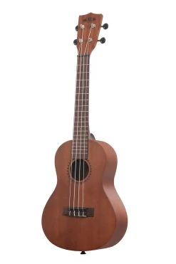 Kala Learn To Play Ukulele Concert Starter Kit -Ukulele Shop KALALTPC2105 22 L