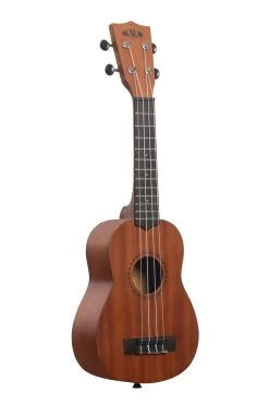 Kala Learn To Play Soprano Ukulele Starter Kit -Ukulele Shop KALALTPS2105 22 R