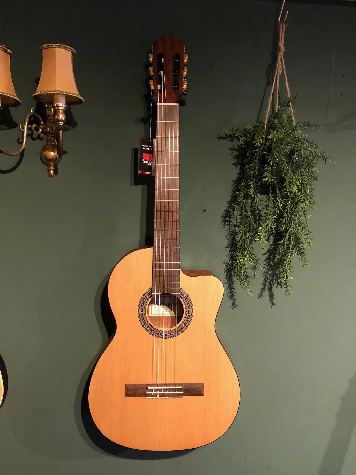 Ukulele Shop 30 Ukulele Shop -Ukulele Shop IMG 0698